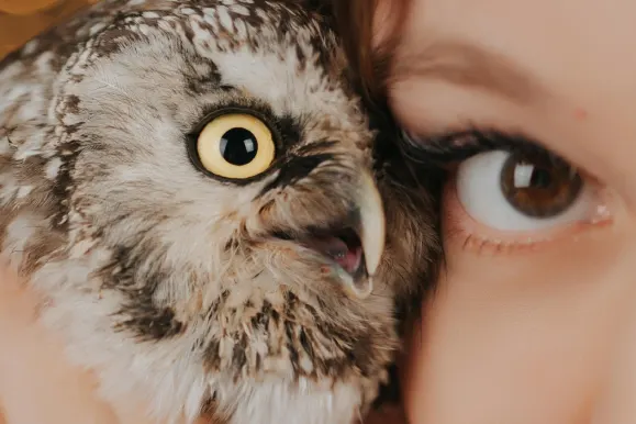 PlayFortuna Kasino Podpora